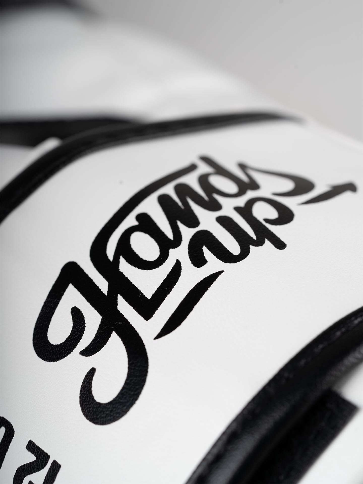 RINGLIFE Boxhandschuhe - No.1 weiß-schwarz