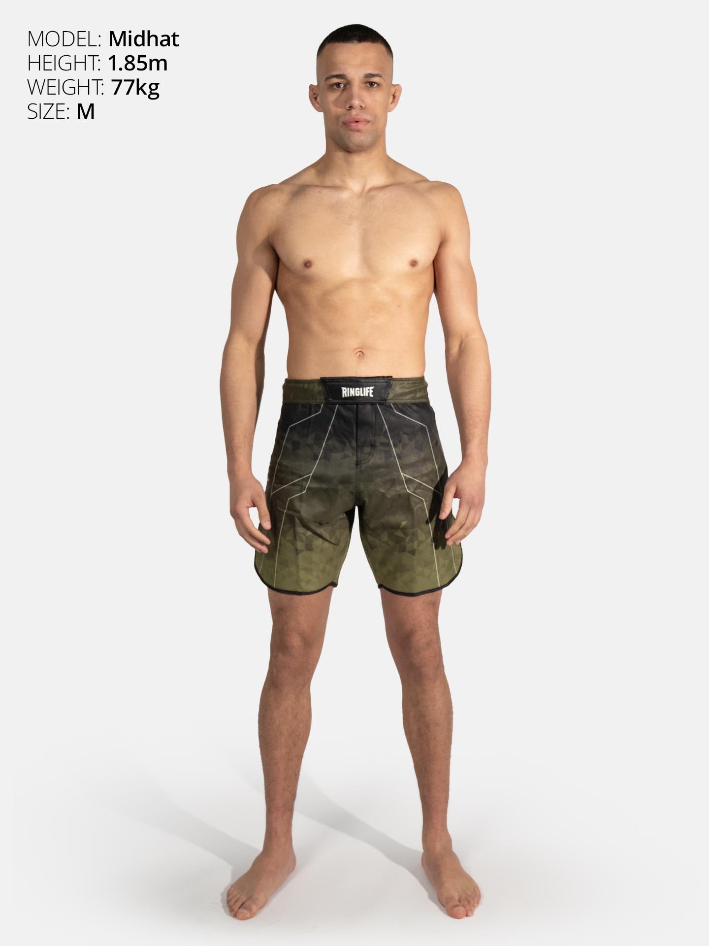 RINGLIFE MMA Shorts - Transition schwarz-grün