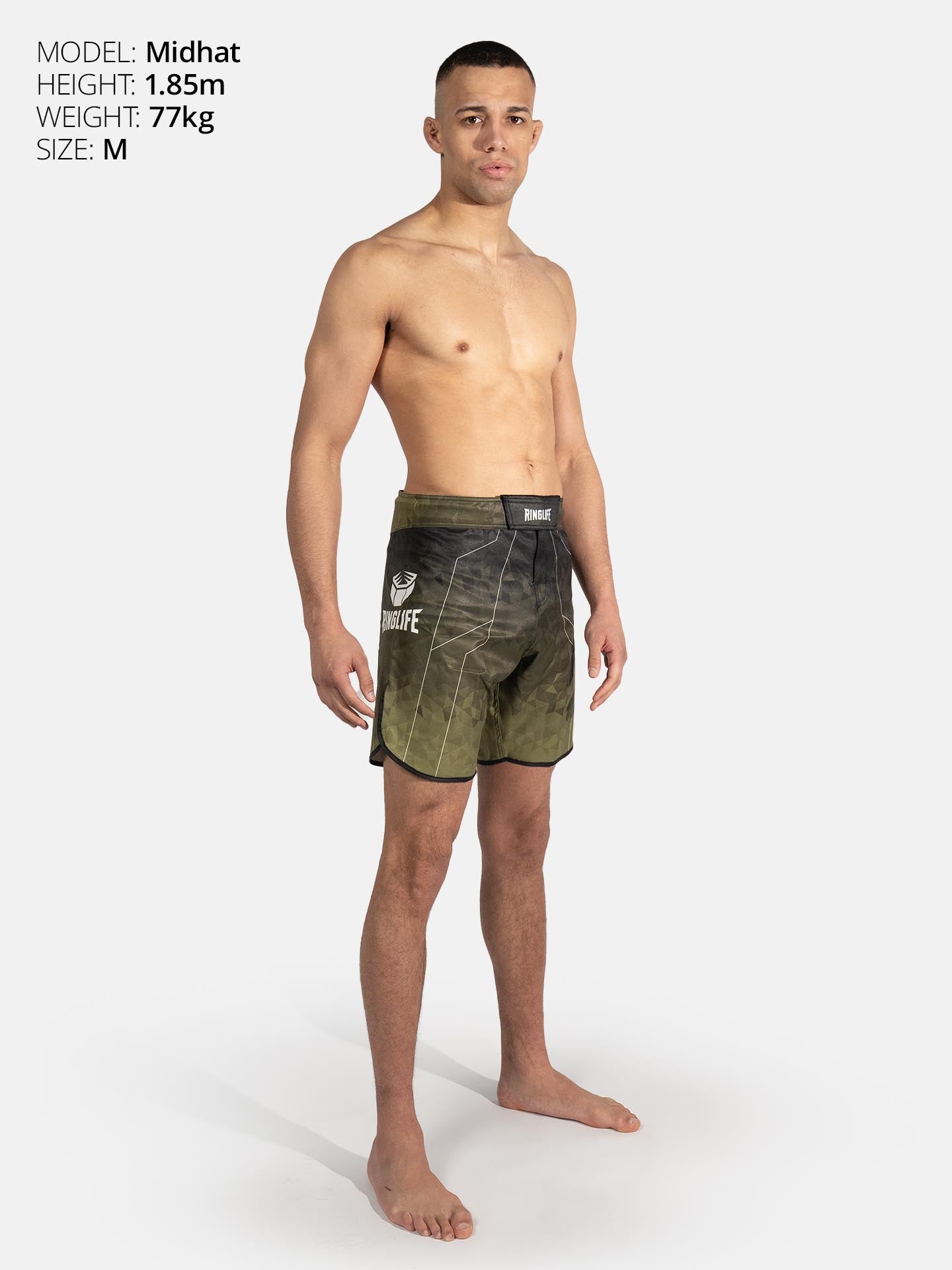 RINGLIFE MMA Shorts - Transition schwarz-grün