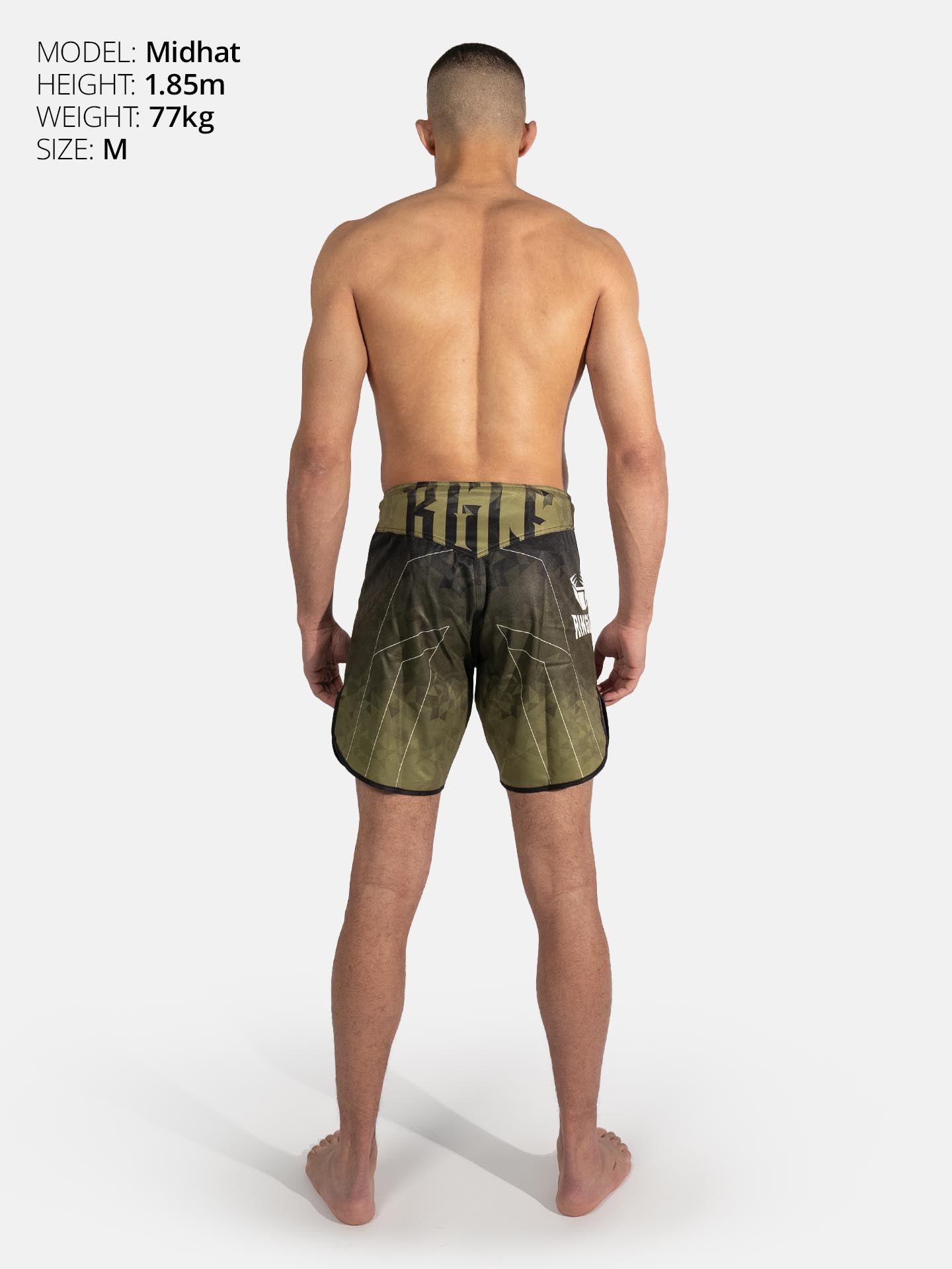 RINGLIFE MMA Shorts - Transition schwarz-grün