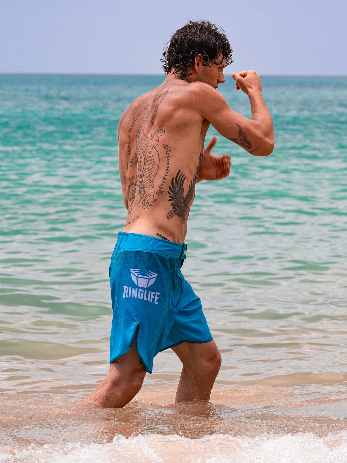 RINGLIFE MMA Shorts - Transition grün-blau