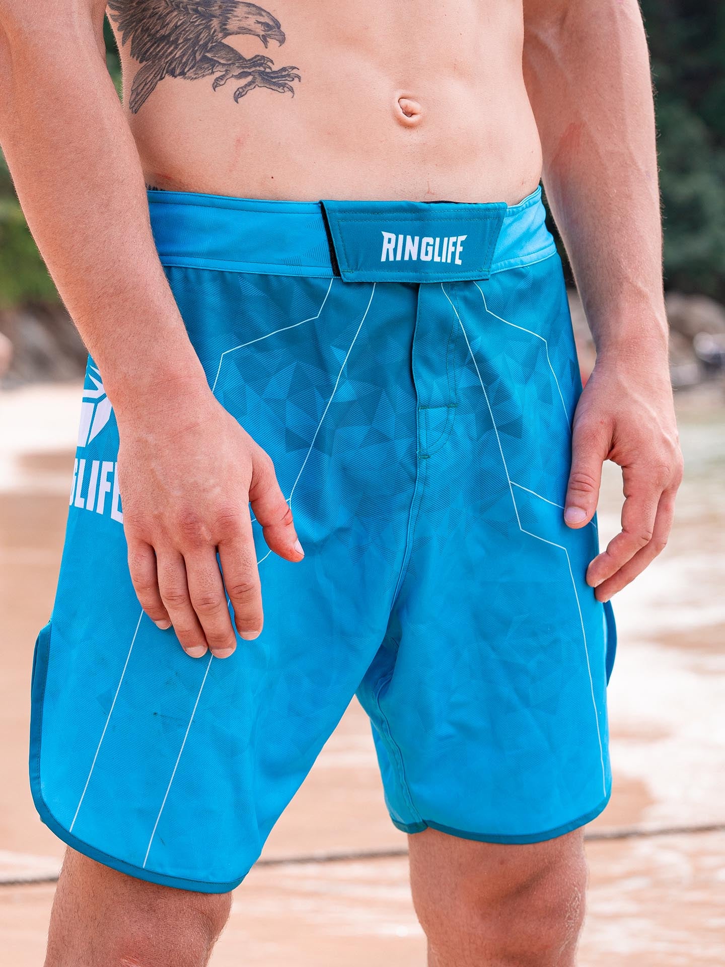 RINGLIFE MMA Shorts - Transition grün-blau