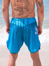 RINGLIFE MMA Shorts - Transition grün-blau