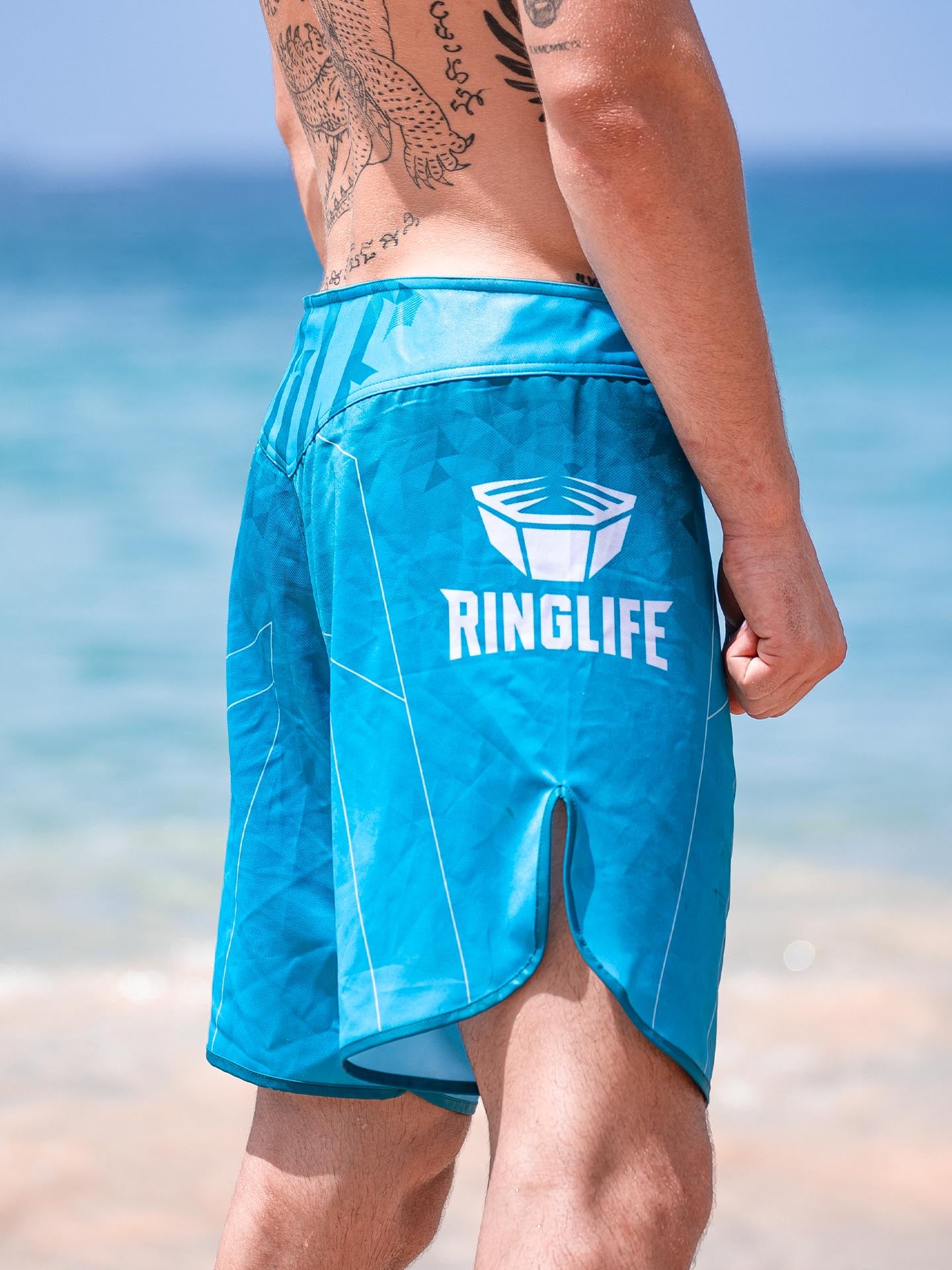 RINGLIFE MMA Shorts - Transition grün-blau