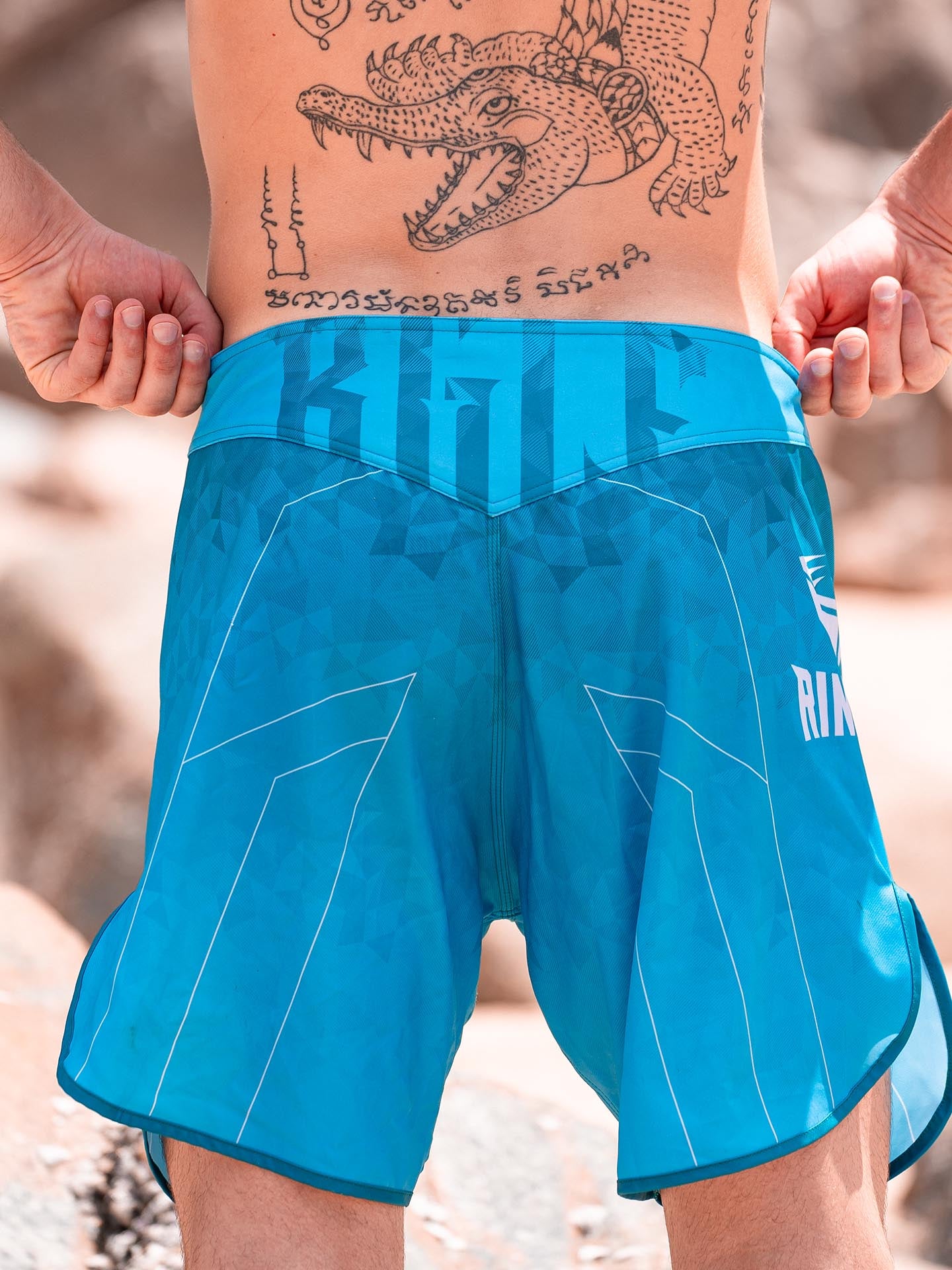 RINGLIFE MMA Shorts - Transition grün-blau