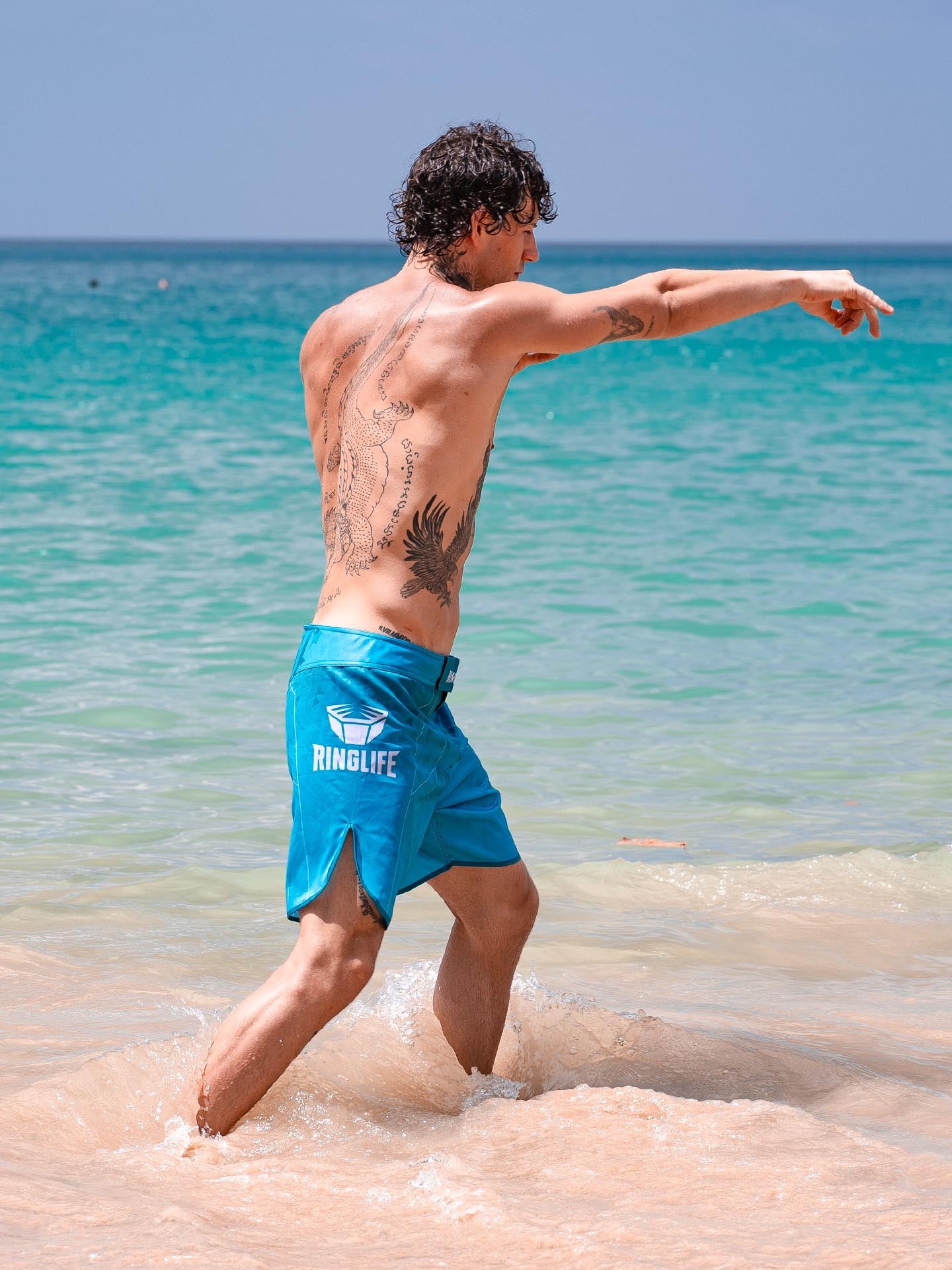 RINGLIFE MMA Shorts - Transition grün-blau