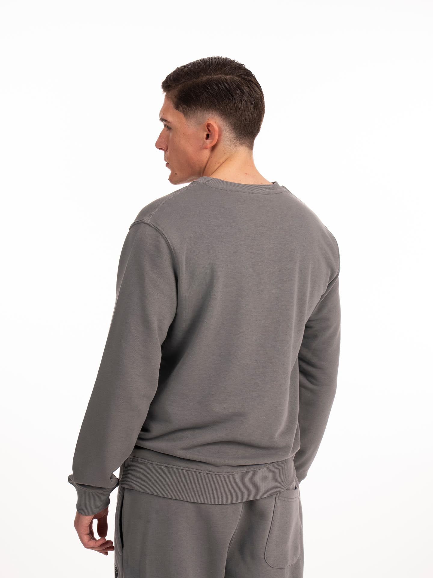 RINGLIFE Pullover, Octaring, grau