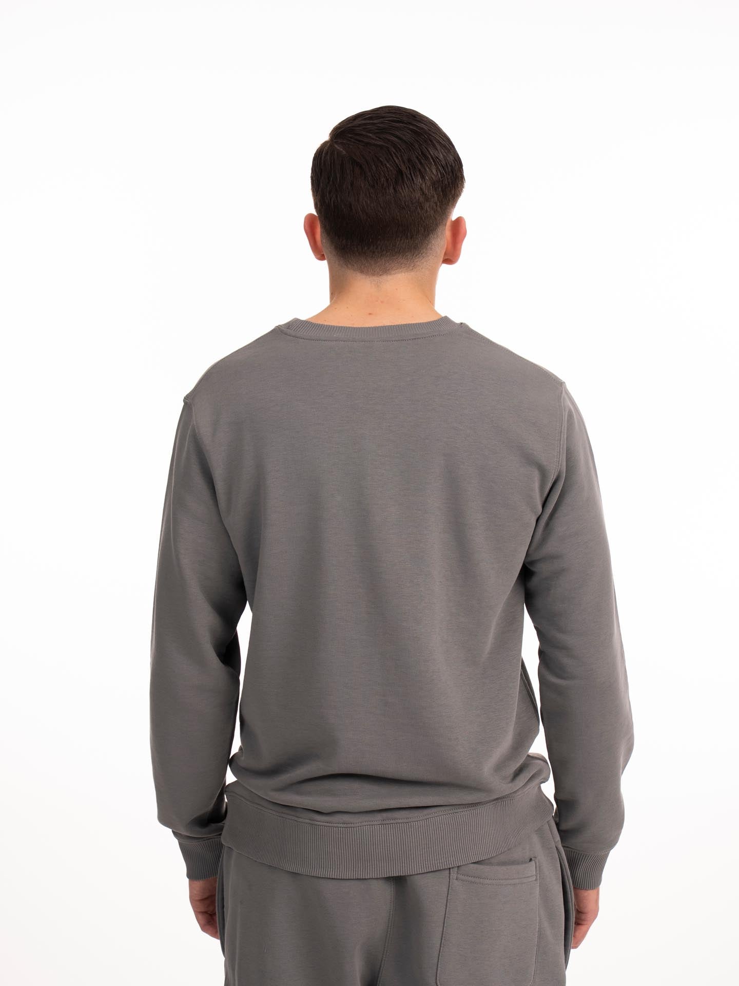 RINGLIFE Pullover, Octaring, grau