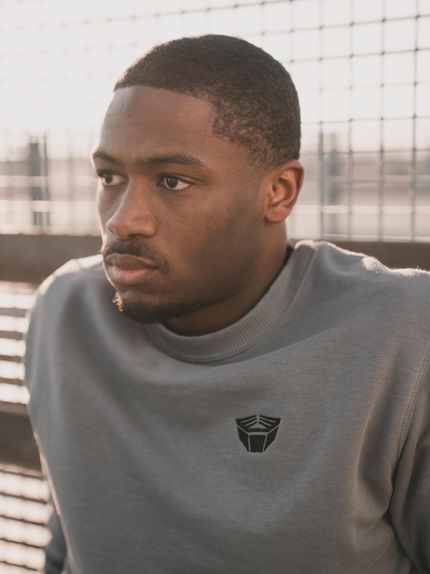 RINGLIFE Pullover, Octaring, grau