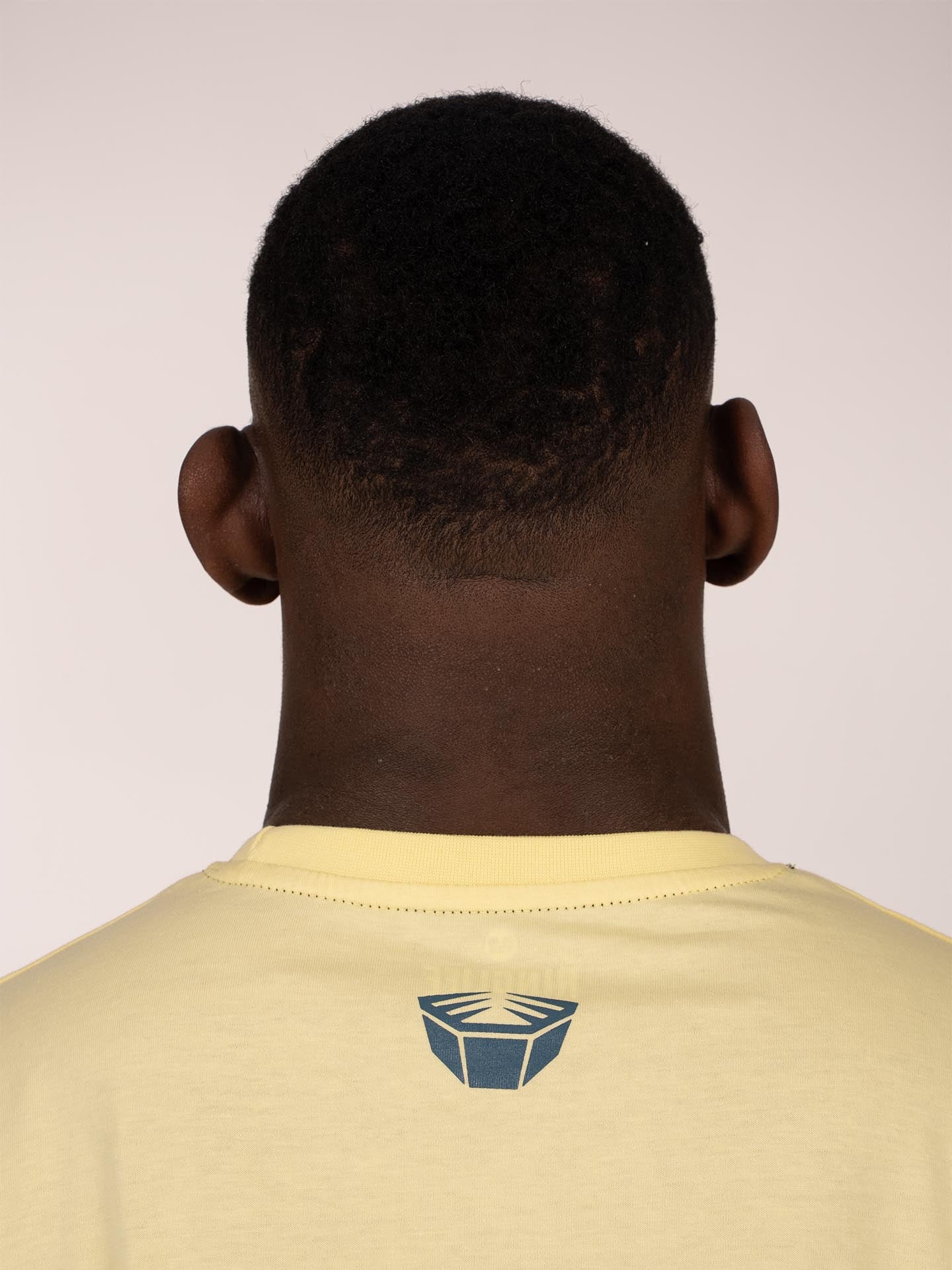 RINGLIFE T-Shirt, Logo 2.0, chardonnay-navy