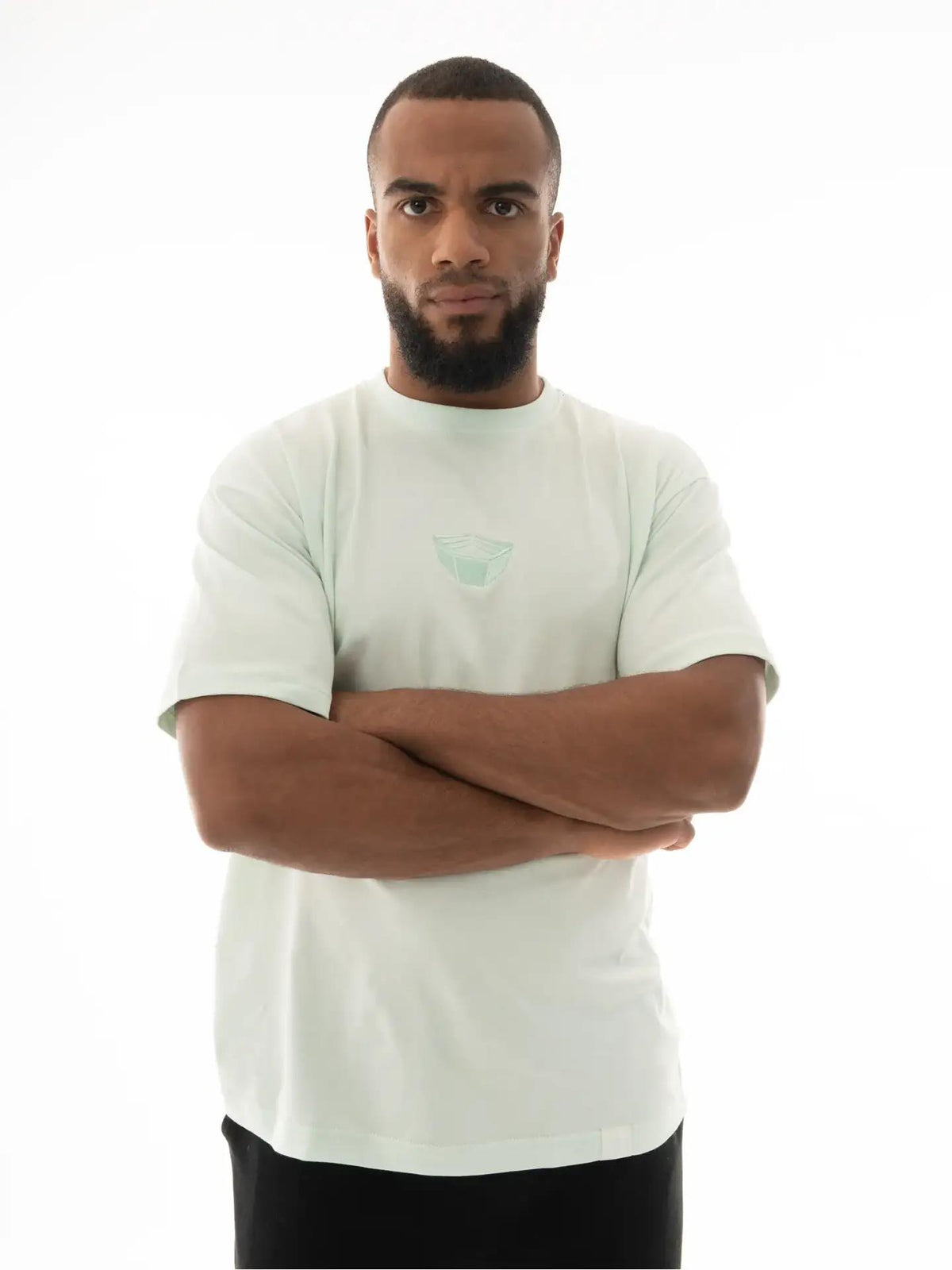 RINGLIFE T-Shirt, Oversized, Octaring EMB, mint