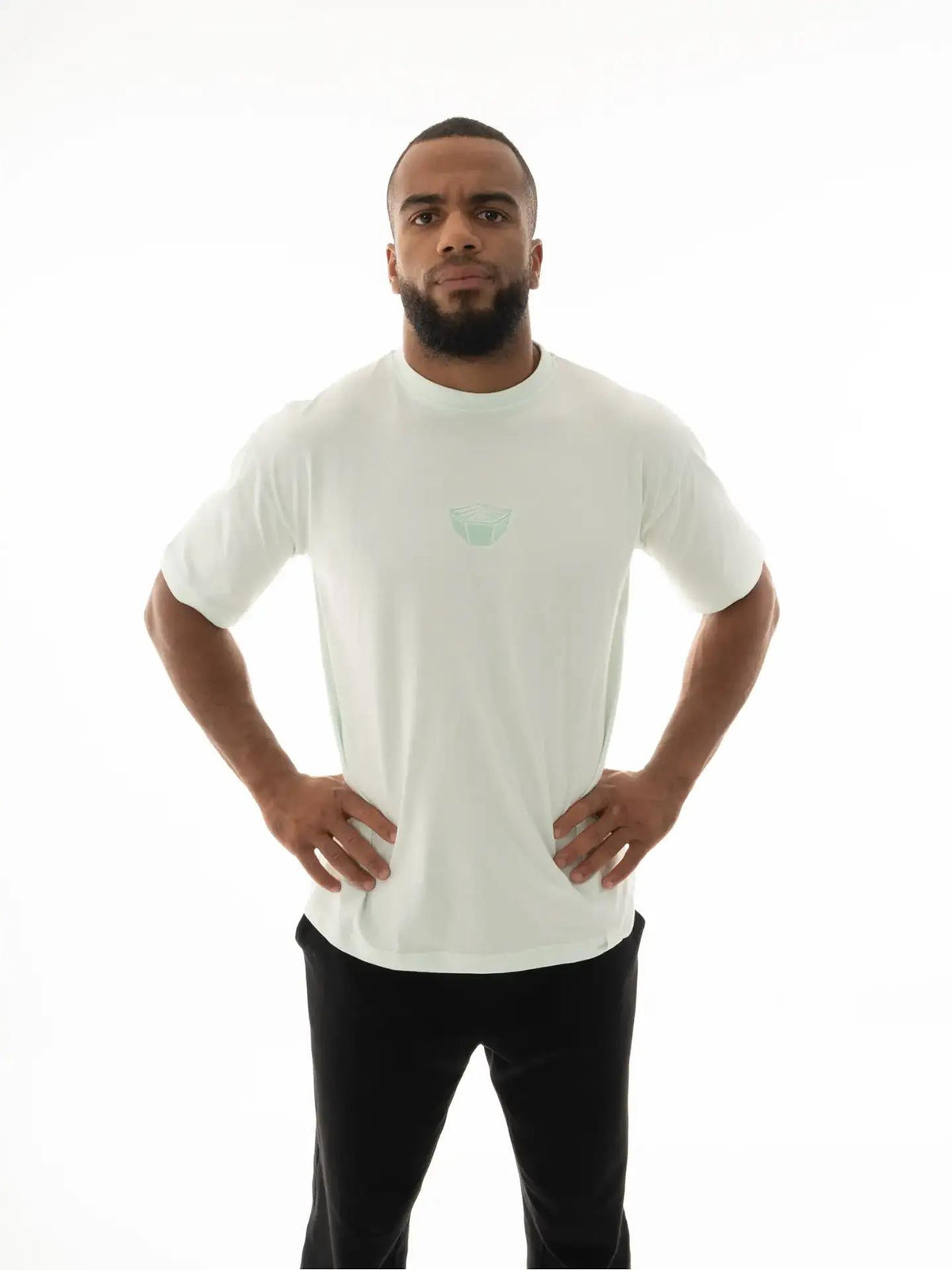 RINGLIFE T-Shirt, Oversized, Octaring EMB, mint