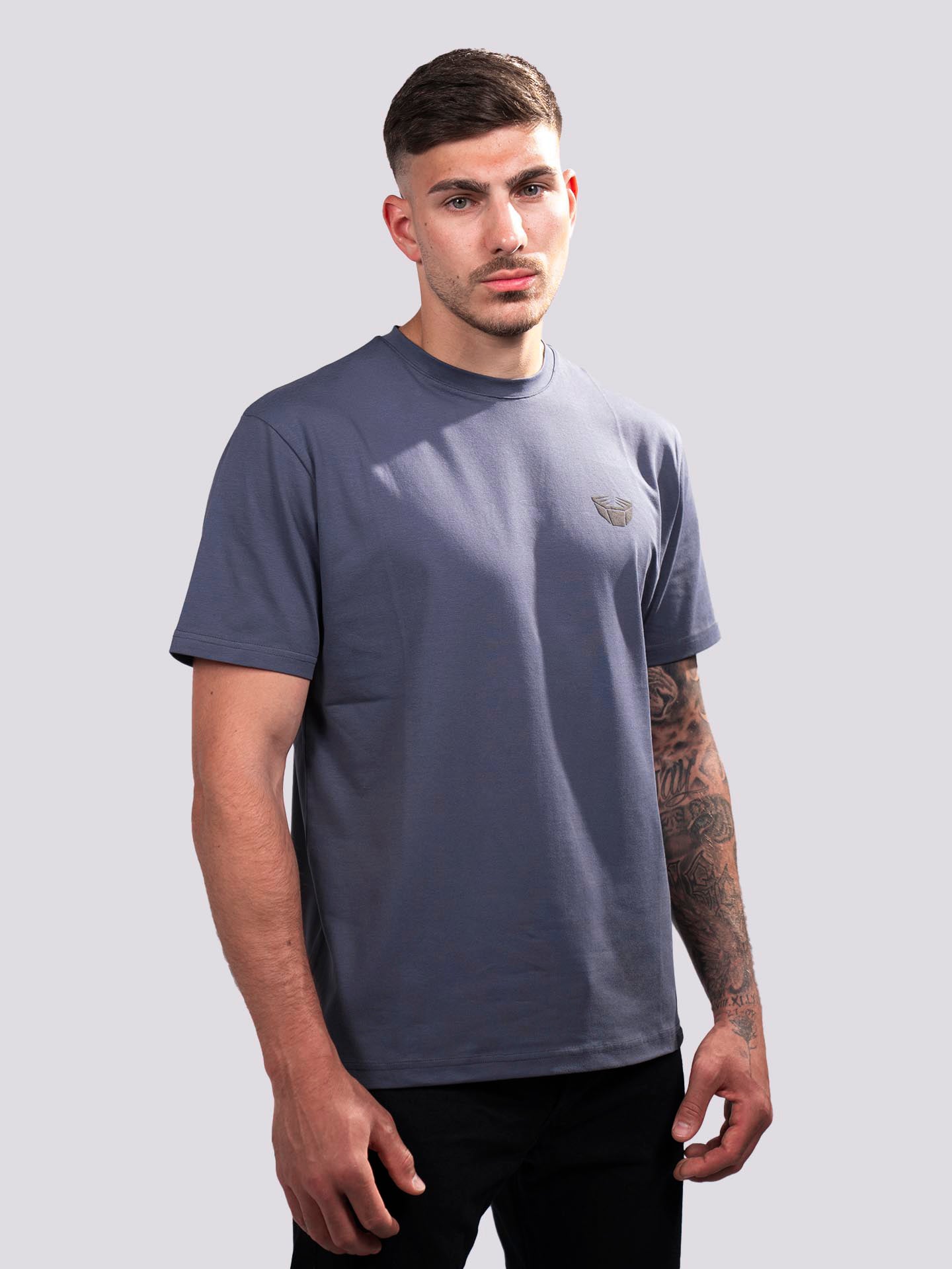 RINGLIFE T-Shirt, Sparring Division, grau