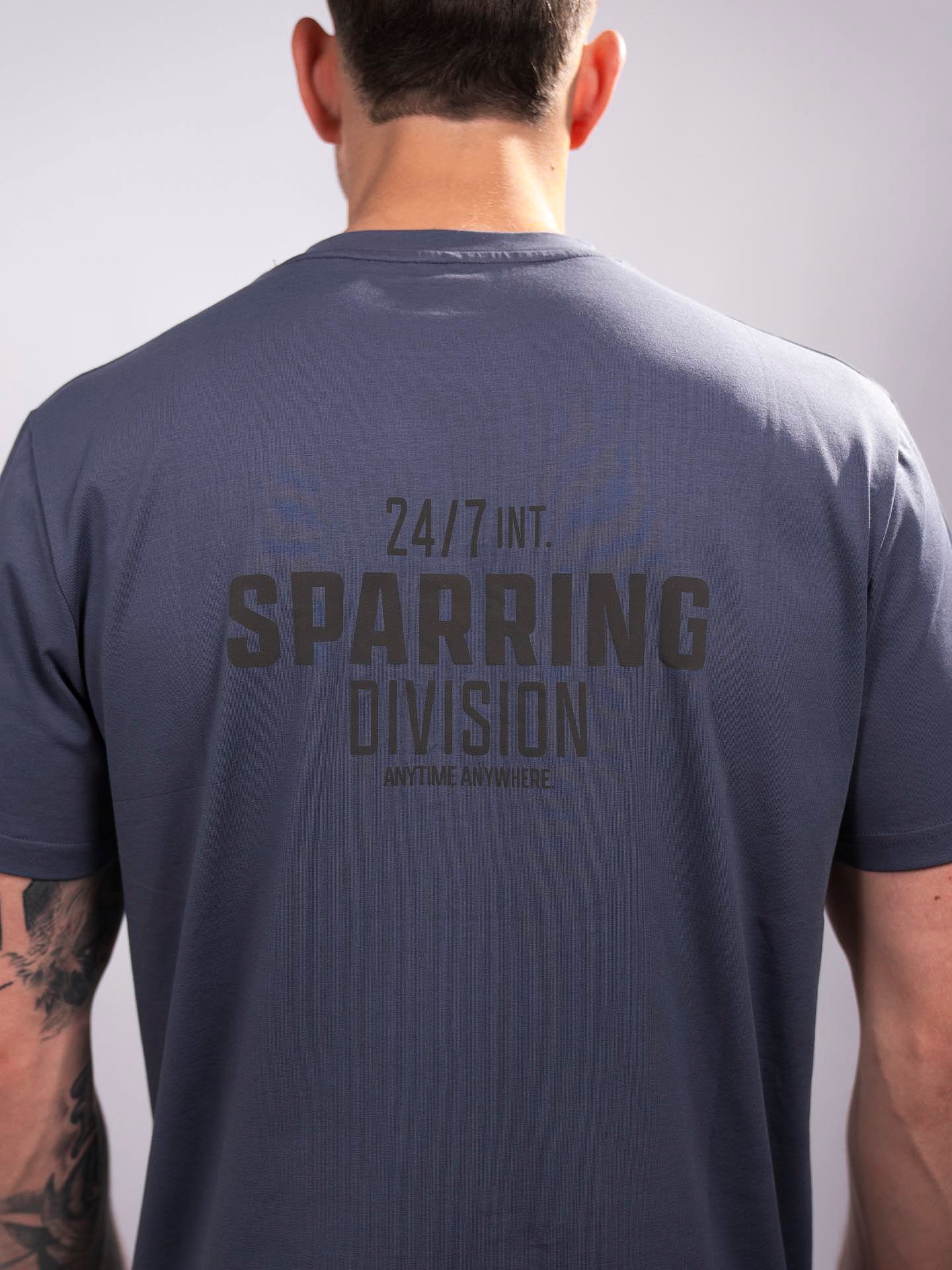 RINGLIFE T-Shirt, Sparring Division, grau