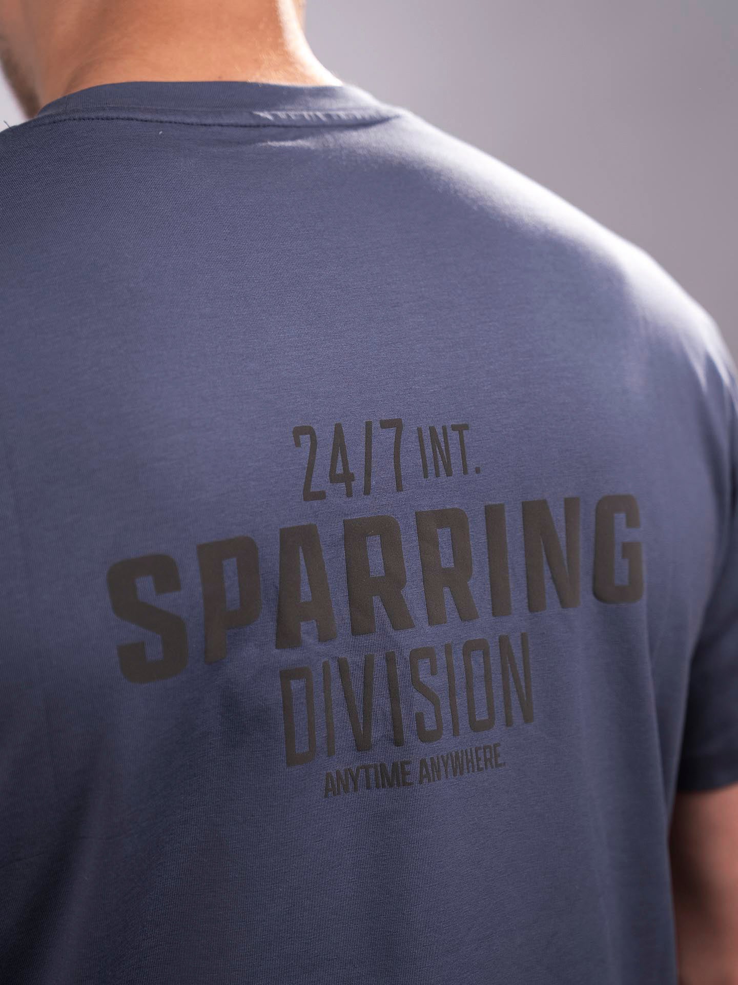 RINGLIFE T-Shirt, Sparring Division, grau